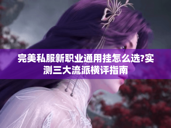 完美私服新职业通用挂怎么选?实测三大流派横评指南