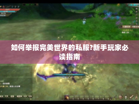 如何举报完美世界的私服?新手玩家必读指南