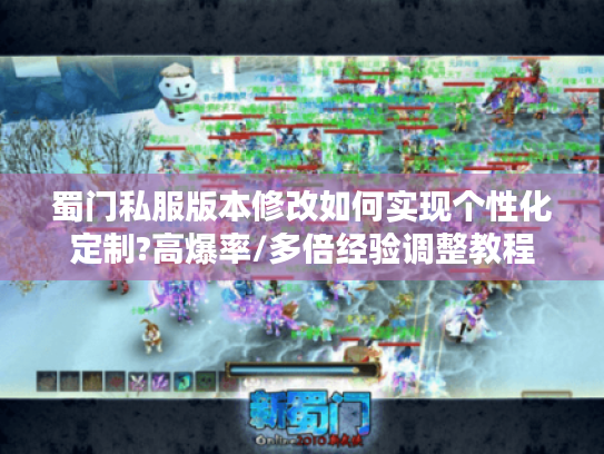蜀门私服版本修改如何实现个性化定制?高爆率/多倍经验调整教程