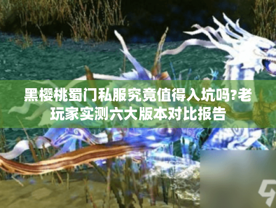 黑樱桃蜀门私服究竟值得入坑吗?老玩家实测六大版本对比报告