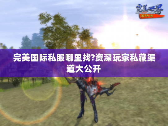 完美国际私服哪里找?资深玩家私藏渠道大公开