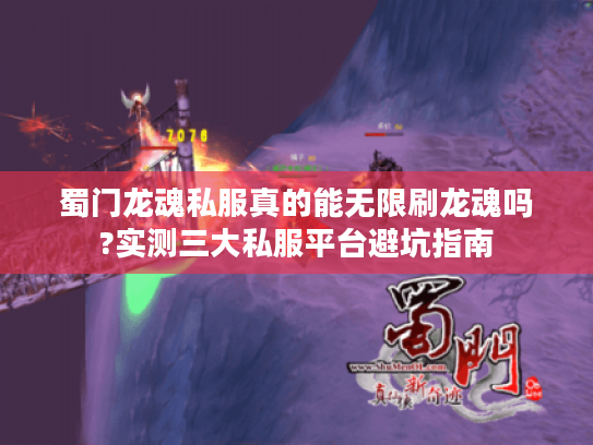 蜀门龙魂私服真的能无限刷龙魂吗?实测三大私服平台避坑指南