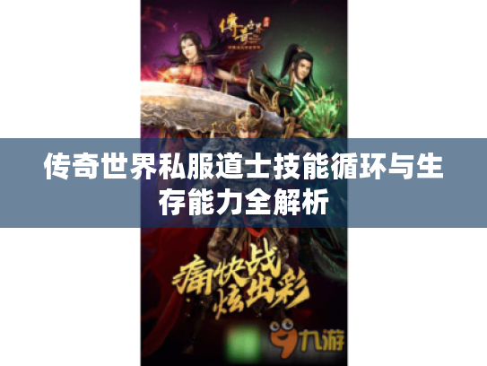 传奇世界私服道士技能循环与生存能力全解析