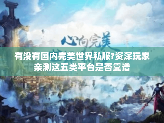有没有国内完美世界私服?资深玩家亲测这五类平台是否靠谱