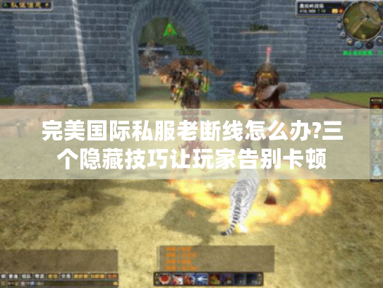 完美国际私服老断线怎么办?三个隐藏技巧让玩家告别卡顿