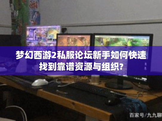 梦幻西游2私服论坛新手如何快速找到靠谱资源与组织?
