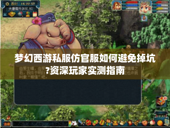 梦幻西游私服仿官服如何避免掉坑?资深玩家实测指南