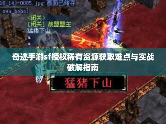 奇迹手游sf授权稀有资源获取难点与实战破解指南 奇迹手游sf授权稀有资源获取难点与实战破解指南