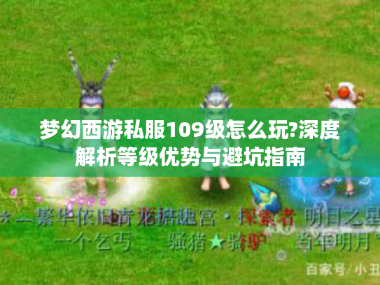 梦幻西游私服109级怎么玩?深度解析等级优势与避坑指南