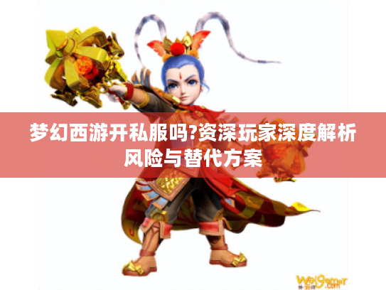 梦幻西游开私服吗?资深玩家深度解析风险与替代方案