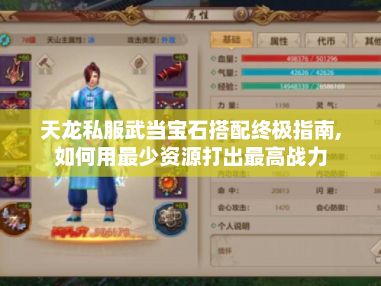 天龙私服武当宝石搭配终极指南,如何用最少资源打出最高战力