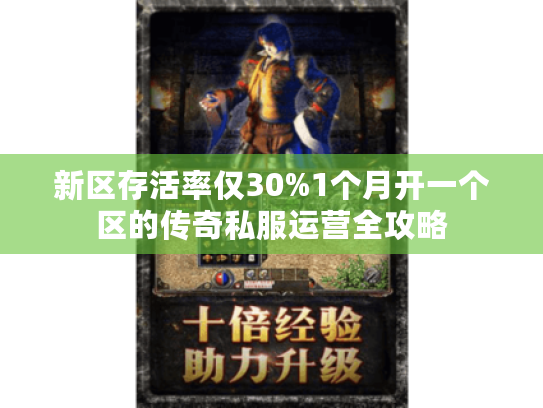 新区存活率仅30%1个月开一个区的传奇私服运营全攻略 新区存活率仅30%1个月开一个区的传奇私服运营全攻略