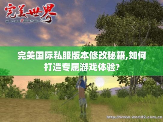 完美国际私服版本修改秘籍,如何打造专属游戏体验? 完美国际私服版本修改秘籍,如何打造专属游戏体验?