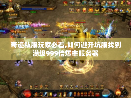 奇迹私服玩家必看,如何避开坑服找到满级999倍爆率服务器