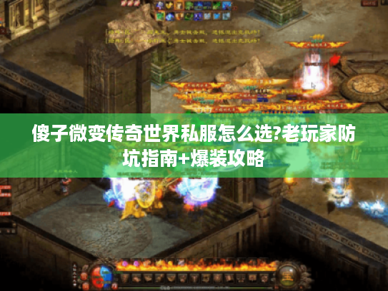 傻子微变传奇世界私服怎么选?老玩家防坑指南+爆装攻略
