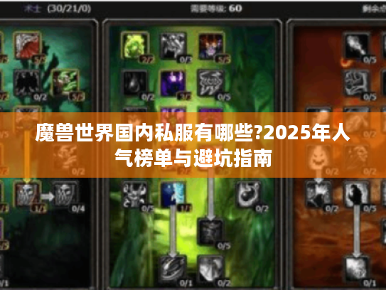魔兽世界国内私服有哪些?2025年人气榜单与避坑指南