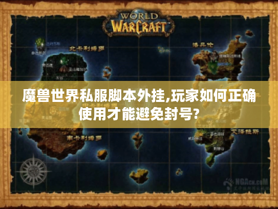 魔兽世界私服脚本外挂,玩家如何正确使用才能避免封号? 魔兽世界私服脚本外挂,玩家如何正确使用才能避免封号?