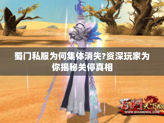 蜀门私服为何集体消失?资深玩家为你揭秘关停真相