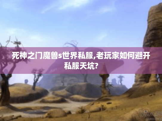 死神之门魔兽s世界私服,老玩家如何避开私服天坑?