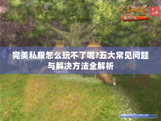 完美私服怎么玩不了呢?五大常见问题与解决方法全解析