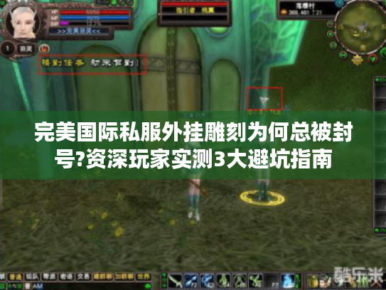 完美国际私服外挂雕刻为何总被封号?资深玩家实测3大避坑指南