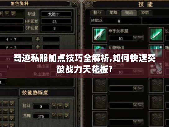 奇迹私服加点技巧全解析,如何快速突破战力天花板?