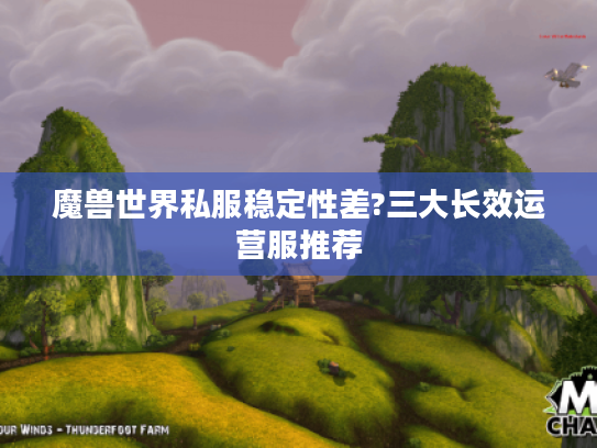 魔兽世界私服稳定性差?三大长效运营服推荐