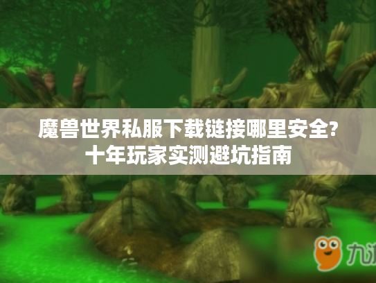 魔兽世界私服下载链接哪里安全?十年玩家实测避坑指南