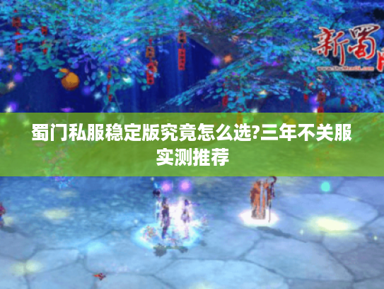 蜀门私服稳定版究竟怎么选?三年不关服实测推荐