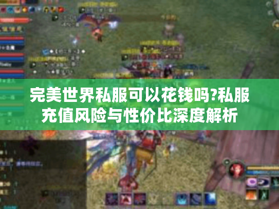 完美世界私服可以花钱吗?私服充值风险与性价比深度解析