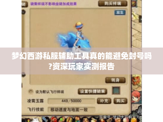梦幻西游私服辅助工具真的能避免封号吗?资深玩家实测报告
