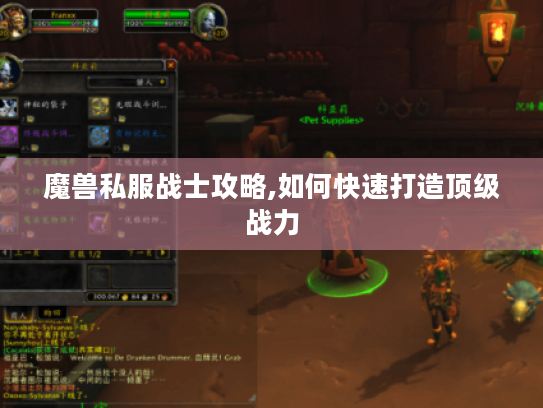 魔兽私服战士攻略,如何快速打造顶级战力 魔兽私服战士攻略,如何快速打造顶级战力