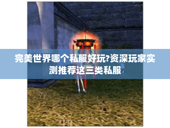 完美世界哪个私服好玩?资深玩家实测推荐这三类私服
