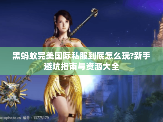 黑蚂蚁完美国际私服到底怎么玩?新手避坑指南与资源大全