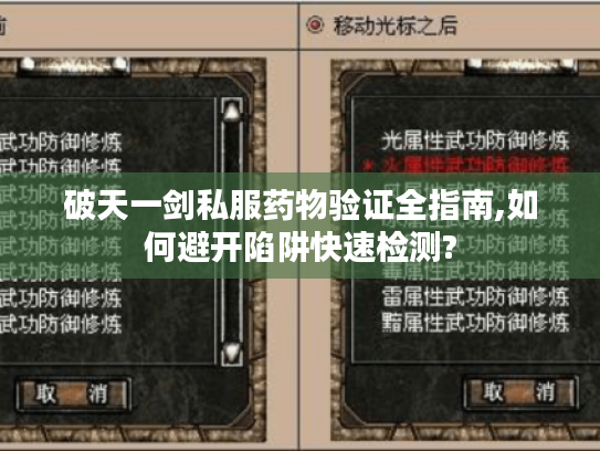 破天一剑私服药物验证全指南,如何避开陷阱快速检测?