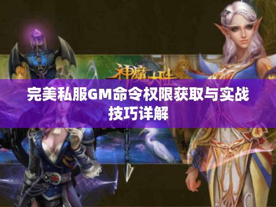 完美私服GM命令权限获取与实战技巧详解
