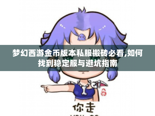 梦幻西游金币版本私服搬砖必看,如何找到稳定服与避坑指南