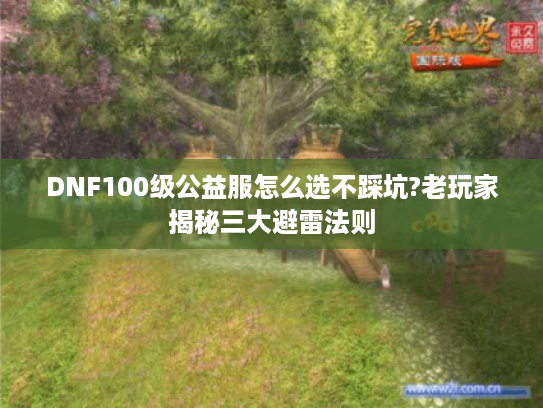 DNF100级公益服怎么选不踩坑?老玩家揭秘三大避雷法则 DNF100级公益服怎么选不踩坑?老玩家揭秘三大避雷法则
