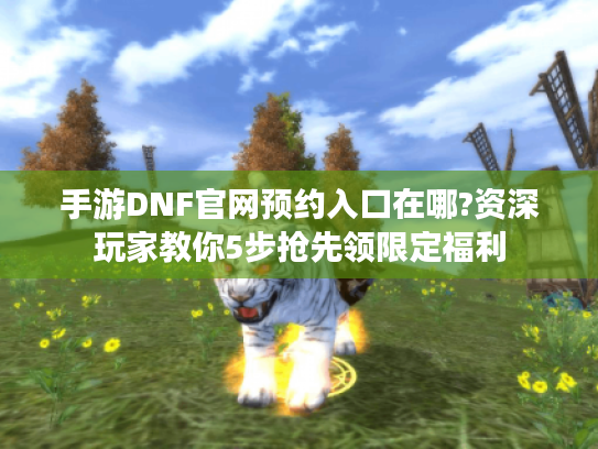 手游DNF官网预约入口在哪?资深玩家教你5步抢先领限定福利