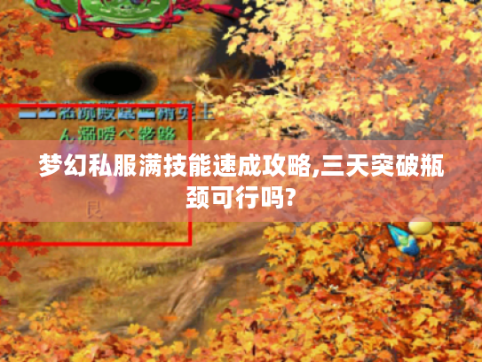 梦幻私服满技能速成攻略,三天突破瓶颈可行吗?