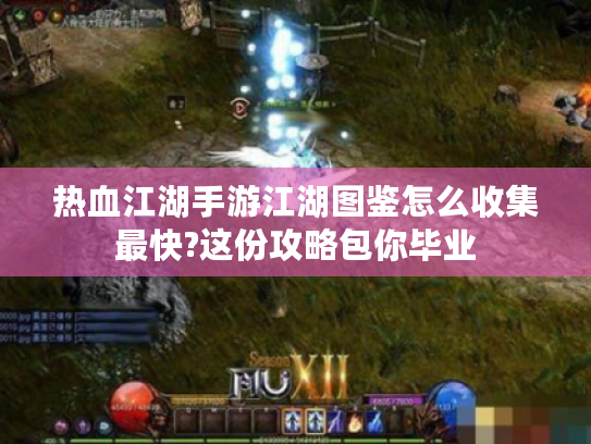 热血江湖手游江湖图鉴怎么收集最快?这份攻略包你毕业