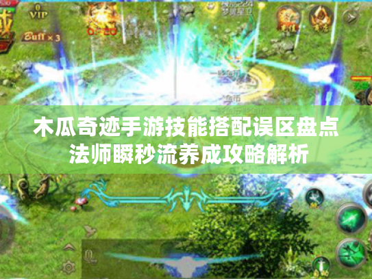 木瓜奇迹手游技能搭配误区盘点 法师瞬秒流养成攻略解析