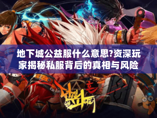 地下城公益服什么意思?资深玩家揭秘私服背后的真相与风险