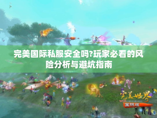 完美国际私服安全吗?玩家必看的风险分析与避坑指南