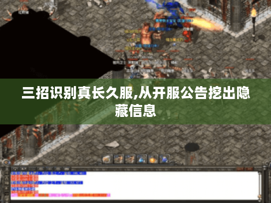 三招识别真长久服,从开服公告挖出隐藏信息