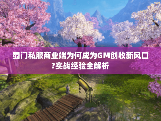 蜀门私服商业端为何成为GM创收新风口?实战经验全解析