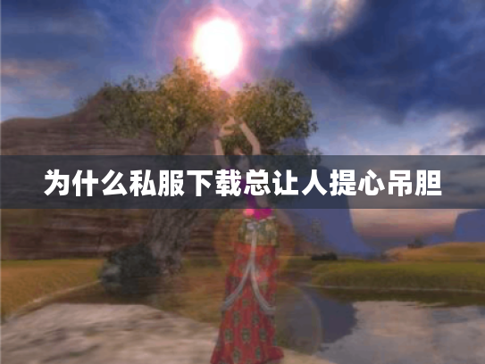 为什么私服下载总让人提心吊胆