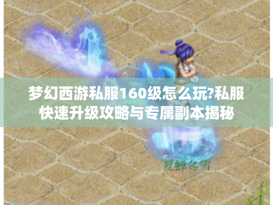 梦幻西游私服160级怎么玩?私服快速升级攻略与专属副本揭秘
