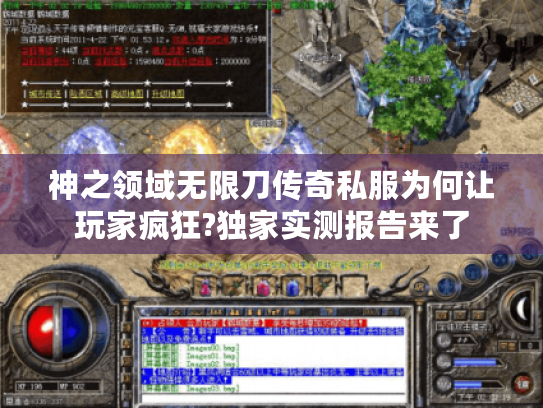 神之领域无限刀传奇私服为何让玩家疯狂?独家实测报告来了
