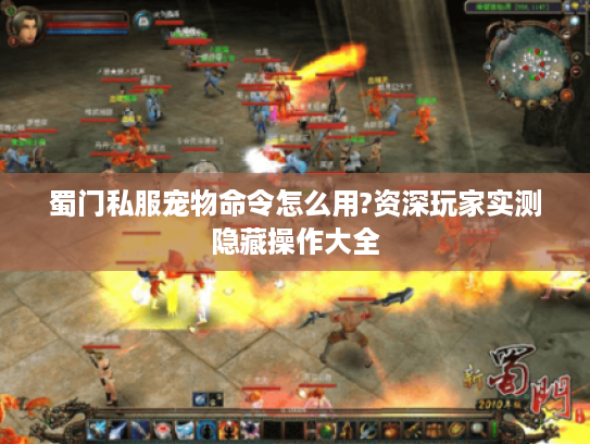 蜀门私服宠物命令怎么用?资深玩家实测隐藏操作大全